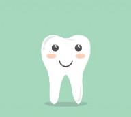 zub, zdroj: pixabay.com, CCO